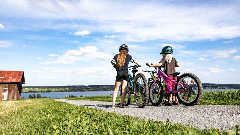 Två barn med var sin cykel står på en grusväg och tittar ut över ett sommarlandskap med en lada och bortanför ladan syns en sjö.