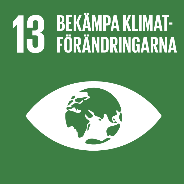 Ikon för FN:s Agenda 2030-mål 13 Bekämpa klimatförändringarna. Bilden visar ett öga med ett jordklot som iris och pupill.