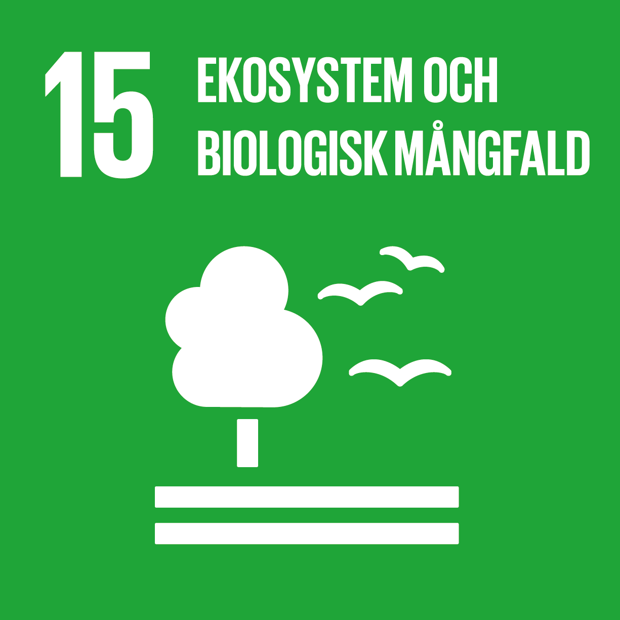 Ikon för FN:s Agenda 2030-mål 15: Ekosystem och biologisk mångfald. Bilden visar ett träd som växer upp ur marken, med fåglar flygandes bredvid lövkronan.