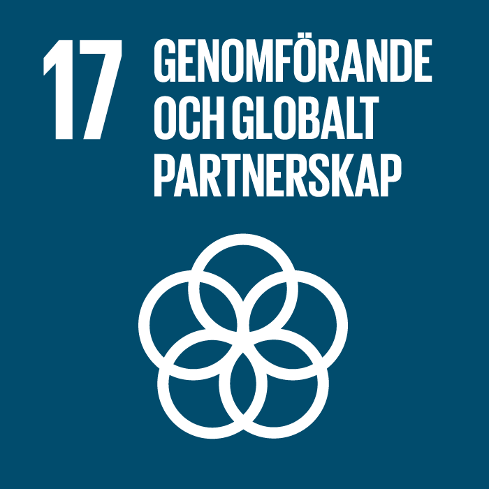 Ikon för FN:s Agenda 2030-mål 17: genomförande och globalt partnerskap. Bilden visar fem cirklar som sitter ihop i en symmetrisk form, likt blomblad.