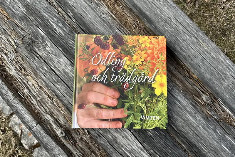 En kolorerad bok ligger på en mossbelupen gammal träbänk där fjolårsgräset skymtar under.