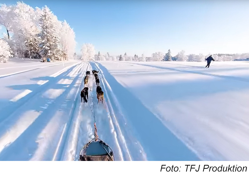 Ett hundspann och en längdskidåkare i ett gnistrande vackert vinterlandskap i solsken. Foto: TFJ Produktion