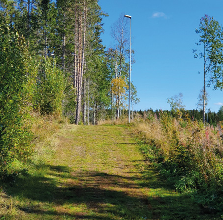Bild på ett gräsbeklätt elljusspår i skogen.