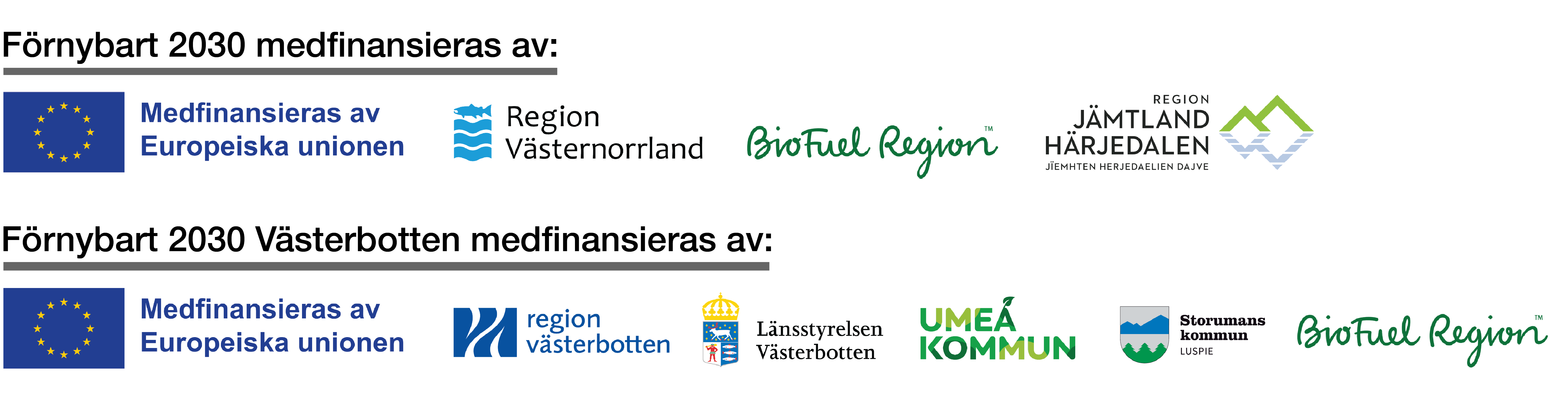 Logotyper för organisationerna som finansierar.