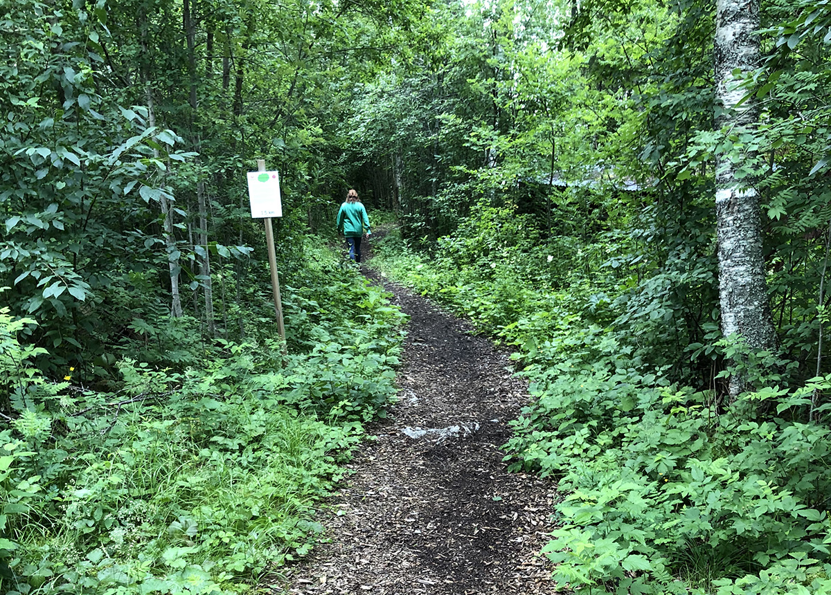 En stig i en lummig skog. En person går bortåt.