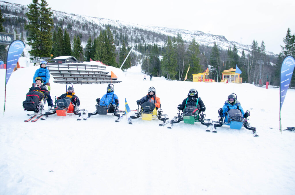 Ett gäng på sitski i fjällmiljö