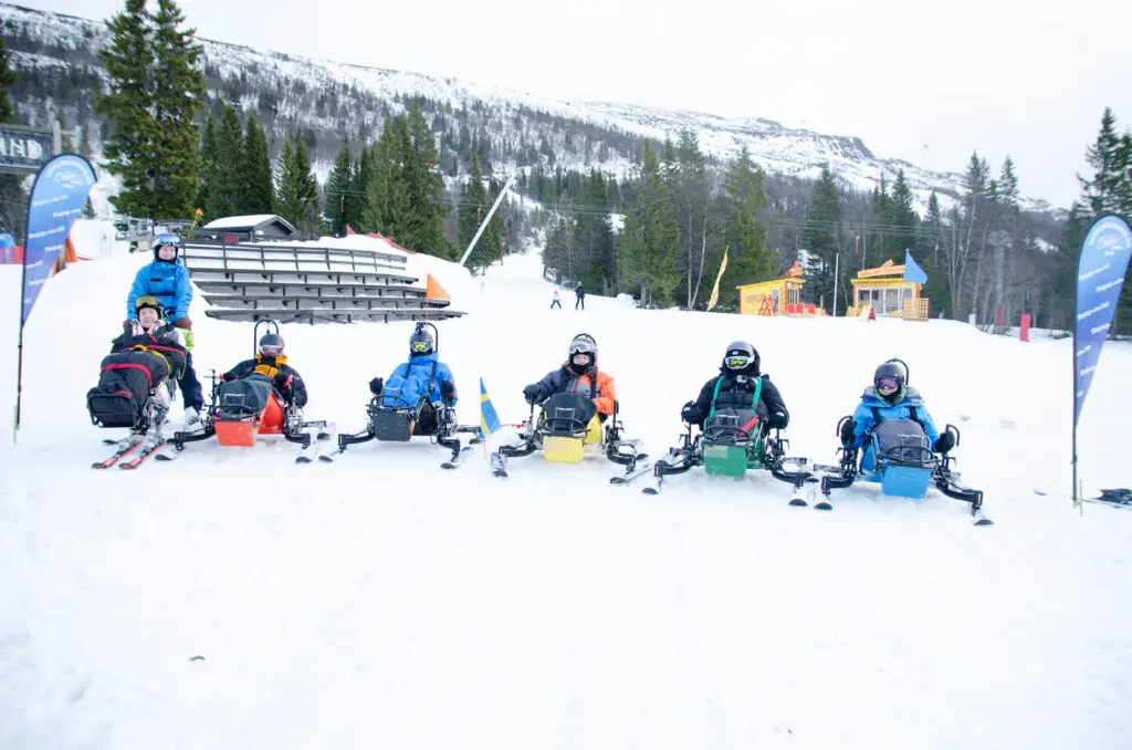 Ett gäng på sitski i fjällmiljö