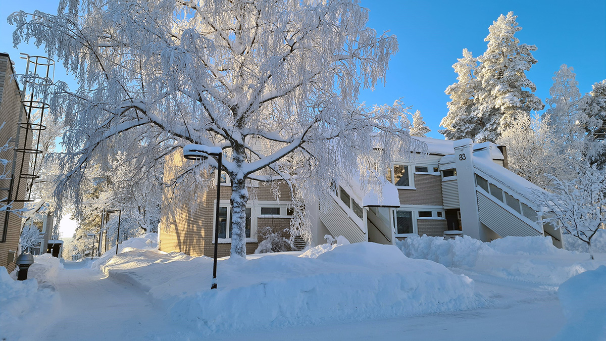 Exteriörbild av kvarteret Fjällkon, Östersund
