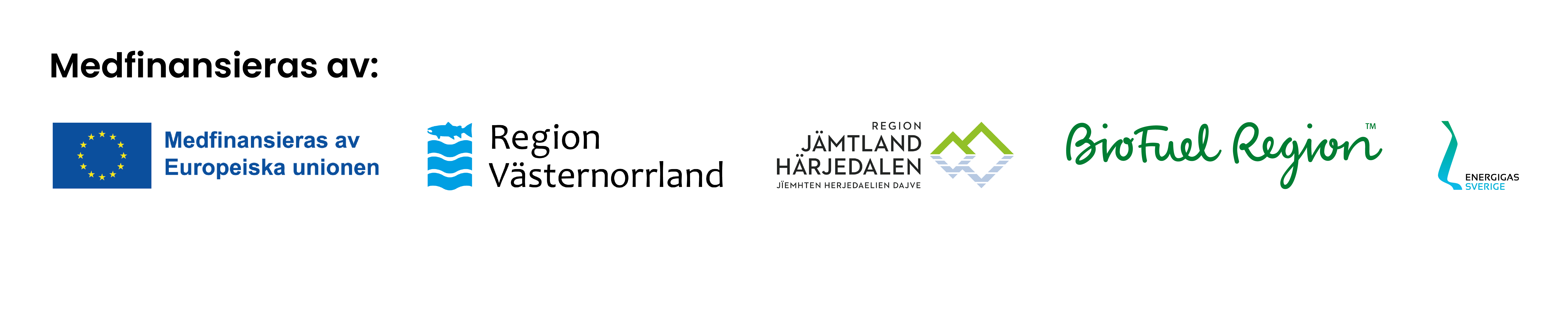 Roadshowen samarrangeras av projekten Förnybart 2030, Förnybart 2030 Västerbotten och Energigas Sverige. Förnybart 2030 drivs av Energikontoret Region Jämtland Härjedalen, BioFuel Region och Energikontoret Västernorrland. Det finansieras av EU:s regionalfond, Region Jämtland Härjedalen, Region Västernorrland och BioFuel Region.