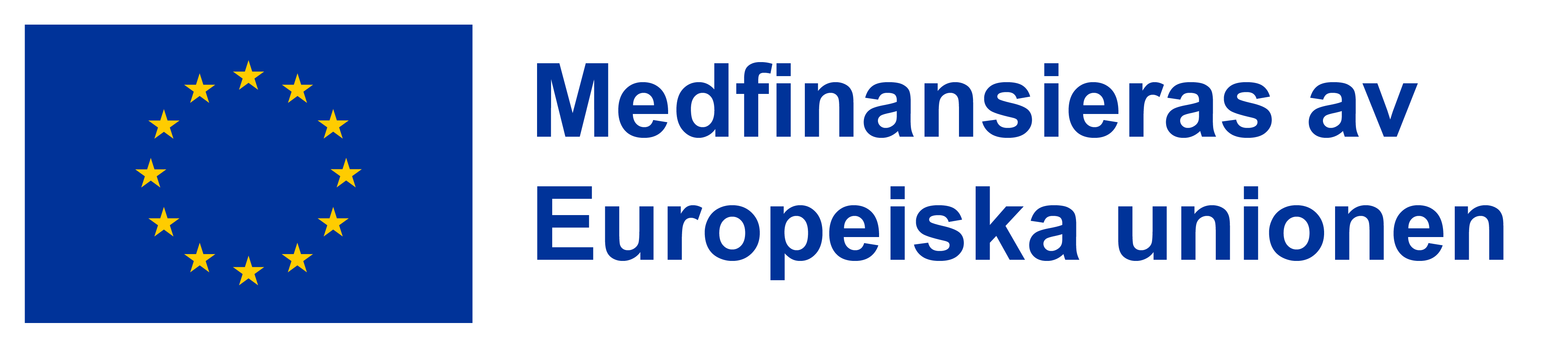 Bild på EU-flaggan och texten "Medfinansieras av Europeiska unionen".