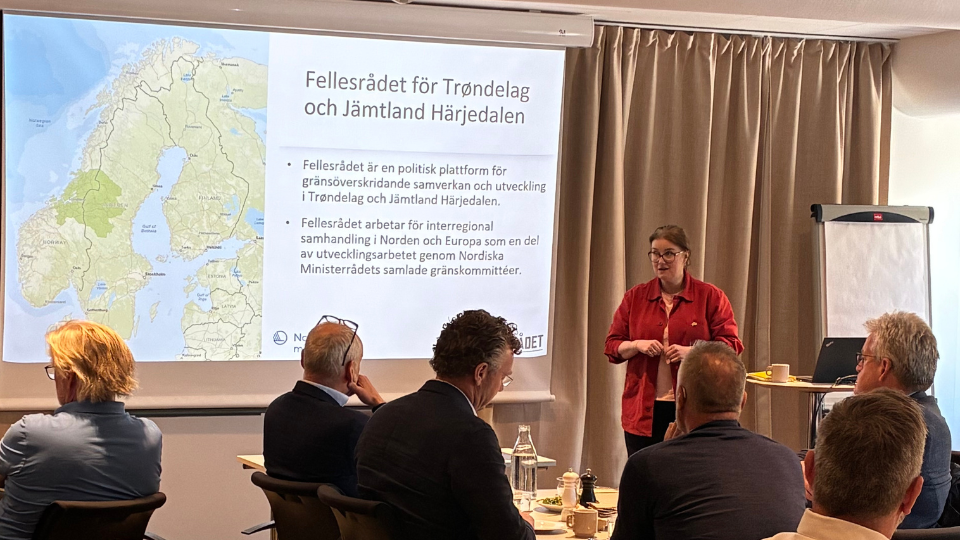 En person håller en presentation vid en storbildskärm.