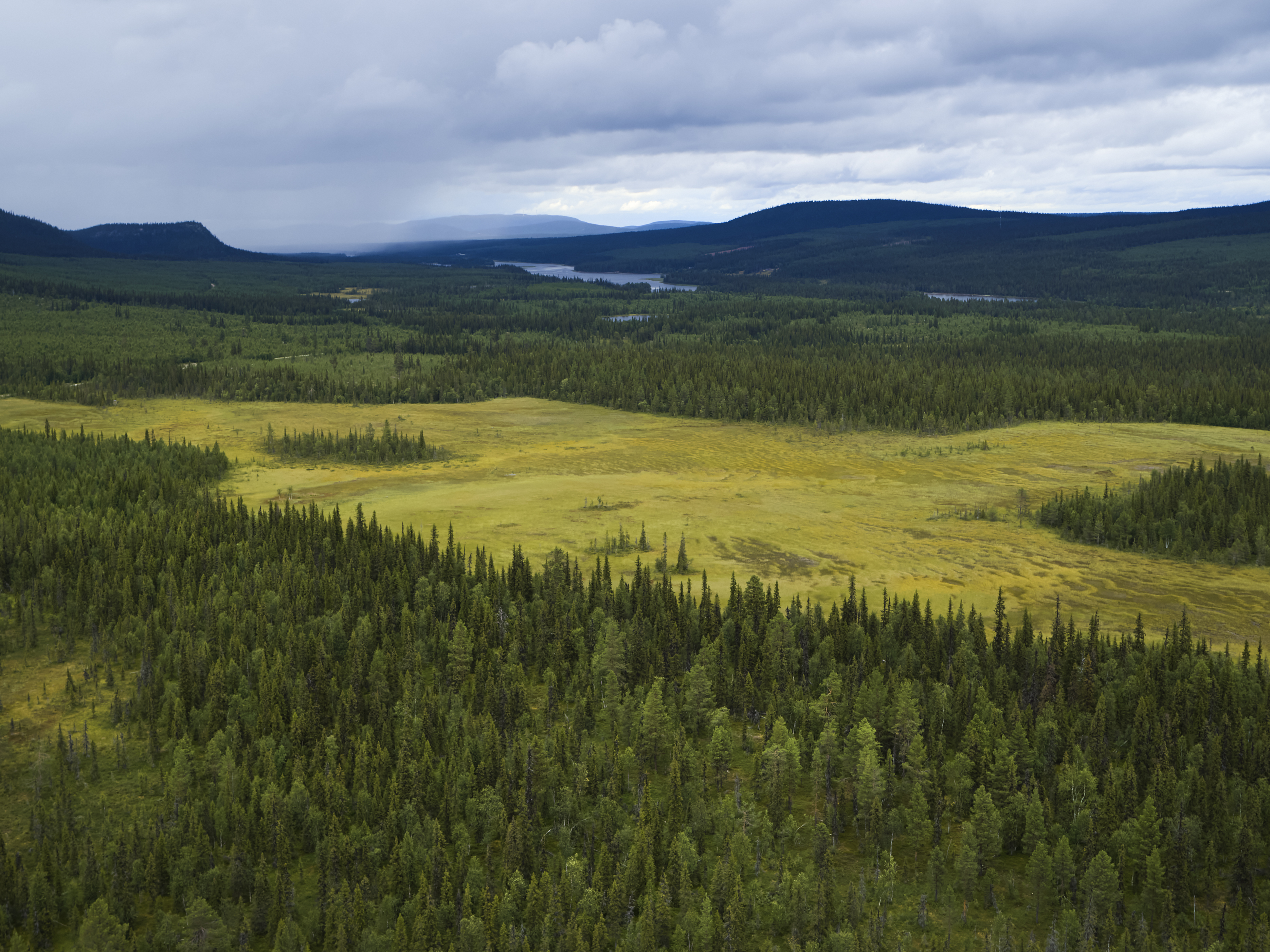 Bilden visar skogslandskap som omger myrmarker. I bakgrunden syns bergstoppar, himlen är molnig och ett regnväder ser ut att vara på väg.