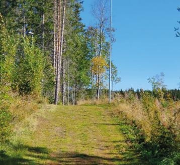 Stig i en skog med en skylt som visar "Naturstig" och "Tibrandshögen".