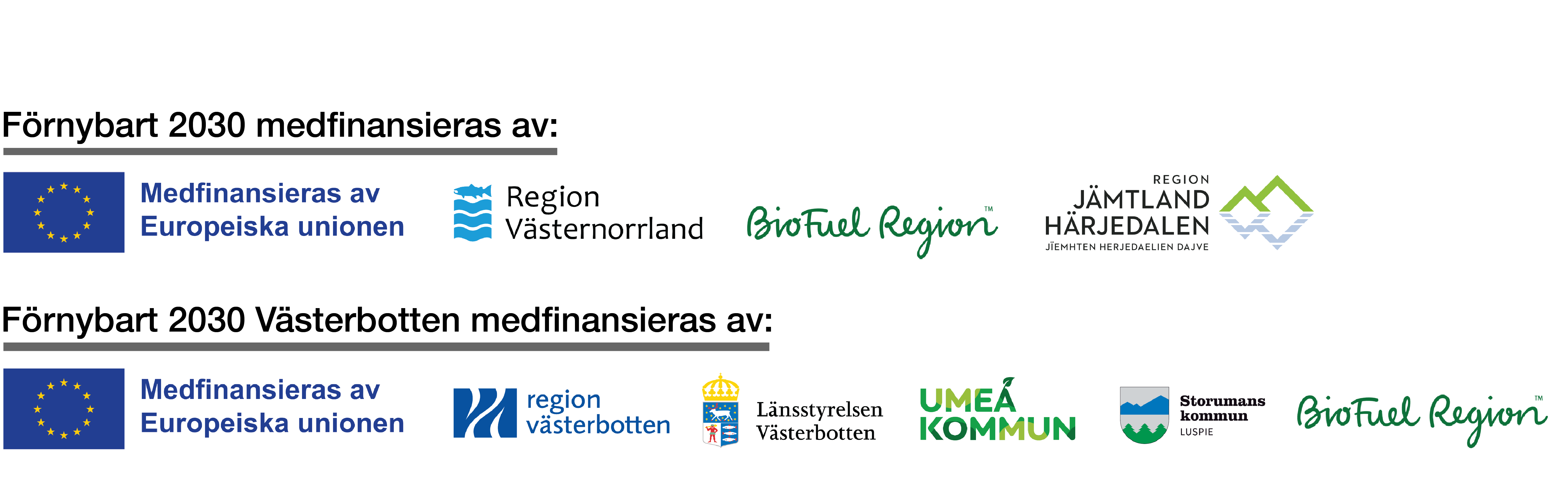 Roadshowen samarrangeras av projekten Förnybart 2030 och Förnybart 2030 Västerbotten. Förnybart 2030 drivs av Energikontoret Region Jämtland Härjedalen, BioFuel Region och Energikontoret Västernorrland. Det finansieras av EU:s regionalfond, Region Jämtland Härjedalen, Region Västernorrland och BioFuel Region. Förnybart 2030 Västerbotten drivs av BioFuel Region, Umeå kommun och Storuman kommun. Projektet finansieras av dessa tre parter tillsammans med EU:s regionalfond.