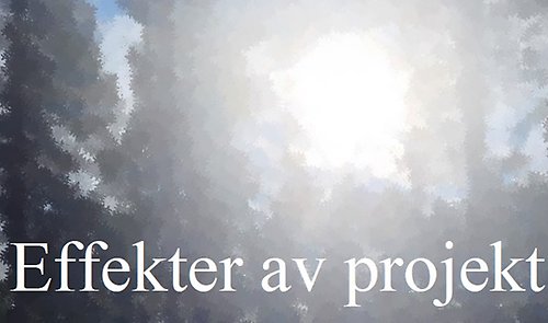 En närbild på träd och sol med texten Effekter av projekt