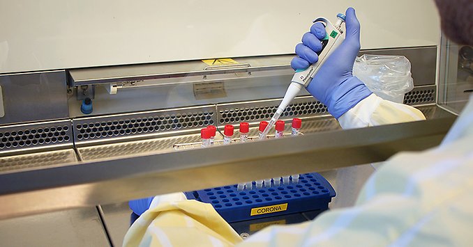 En person iklädd skyddsutrustning analyserar coronaprover i labbet på Östersunds sjukhus