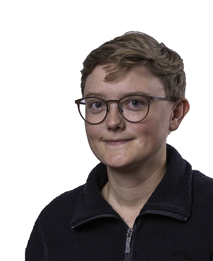 Rebecka Andersson, Förnybart 2030