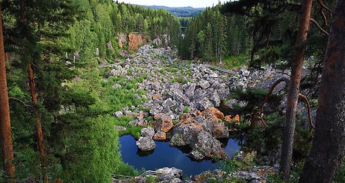 Döda fallet i Ragunda i grönskande skogsmiljö, med lite vatten synligt i det annars upptorkade vattenfallet med stora, kala stenrösen synliga som tidigare var dess botten.